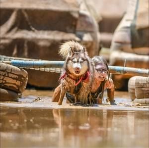 Meet your Posher, Victoria